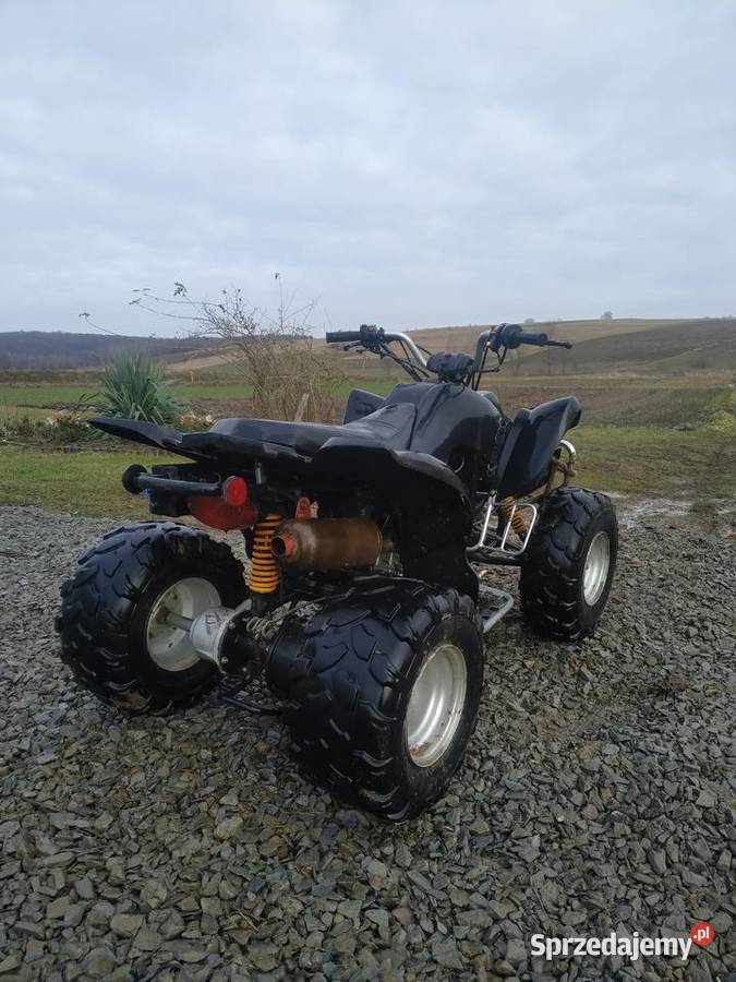 Quad 250 na wale kardana wał Kardana Kopytowa