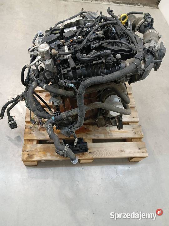 SILNIK KOMPLETNY BENZYNA SFJD C1BG6007BF 10