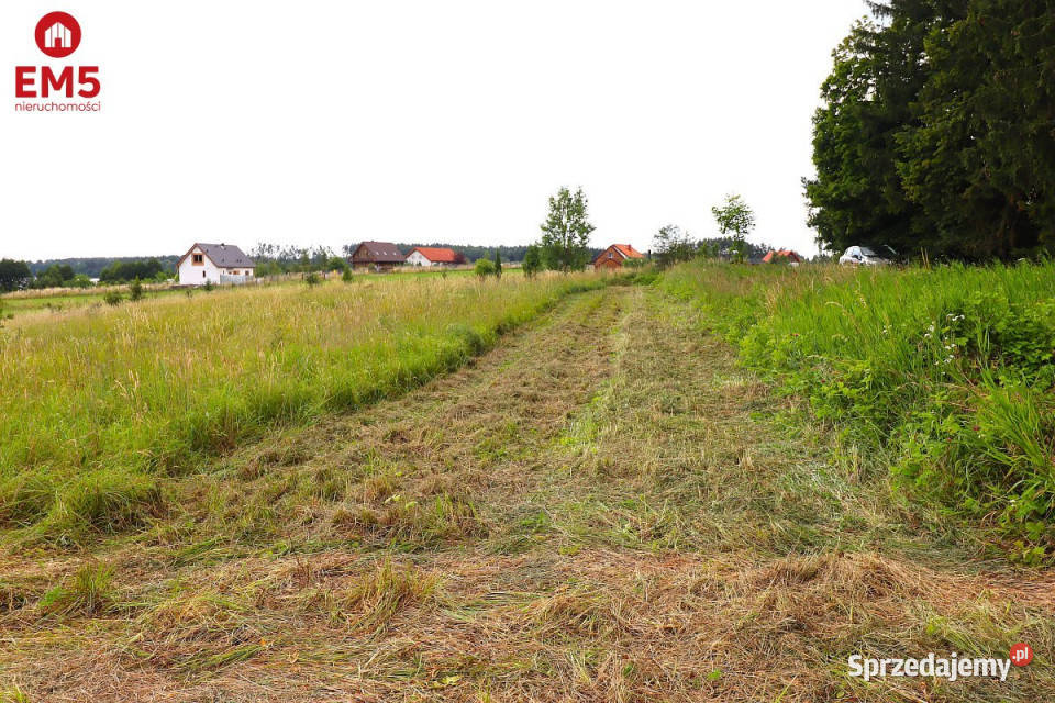 Działkę sprzedam 6800m2 Rożyńsk Wielki kanalizacja