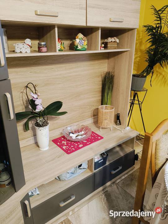 Nowoczesna meblościanka w kolorze dąb Tarnobrzeg