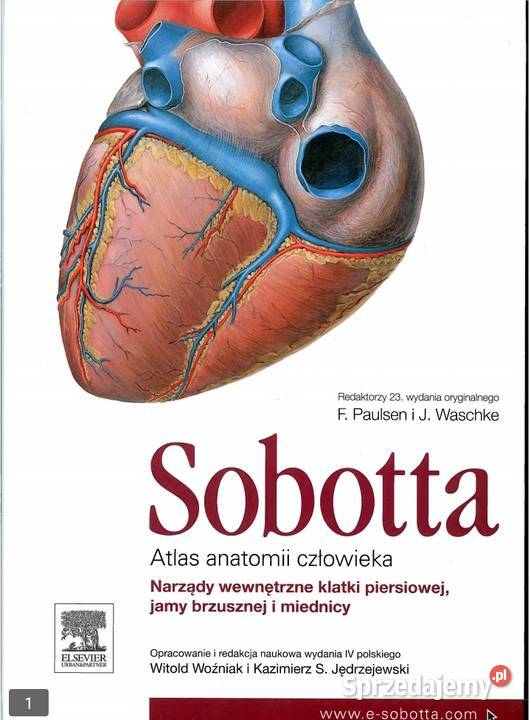 Atlasy anatomiczne Sobotta 3 części pdf Radom