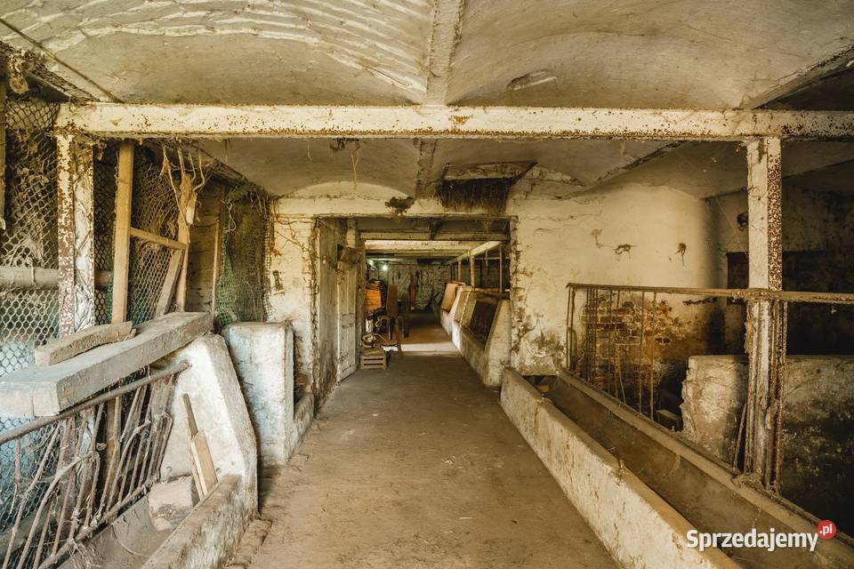 Miejsce z potencjałem dom budynki gosp i łąki w woda Dalborowice