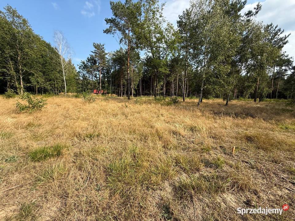 Działka z dostępem do jeziora Sumino Gorzewo