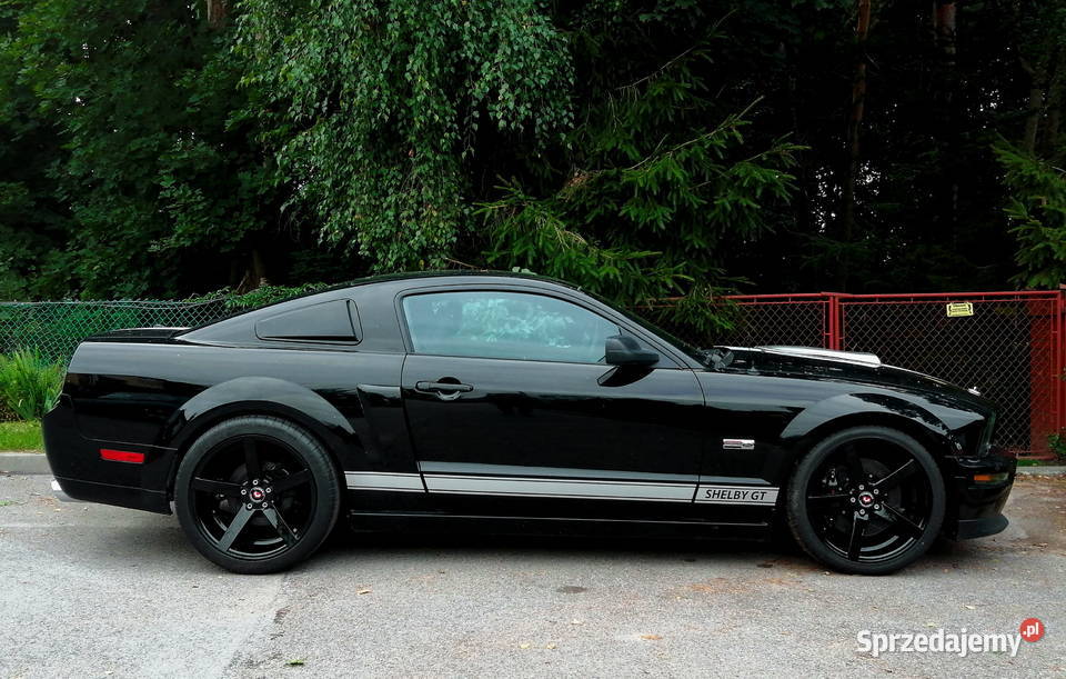 Nakładki na szyby Ford Mustang 20052009 SHELBY Pozostałe Krasnystaw