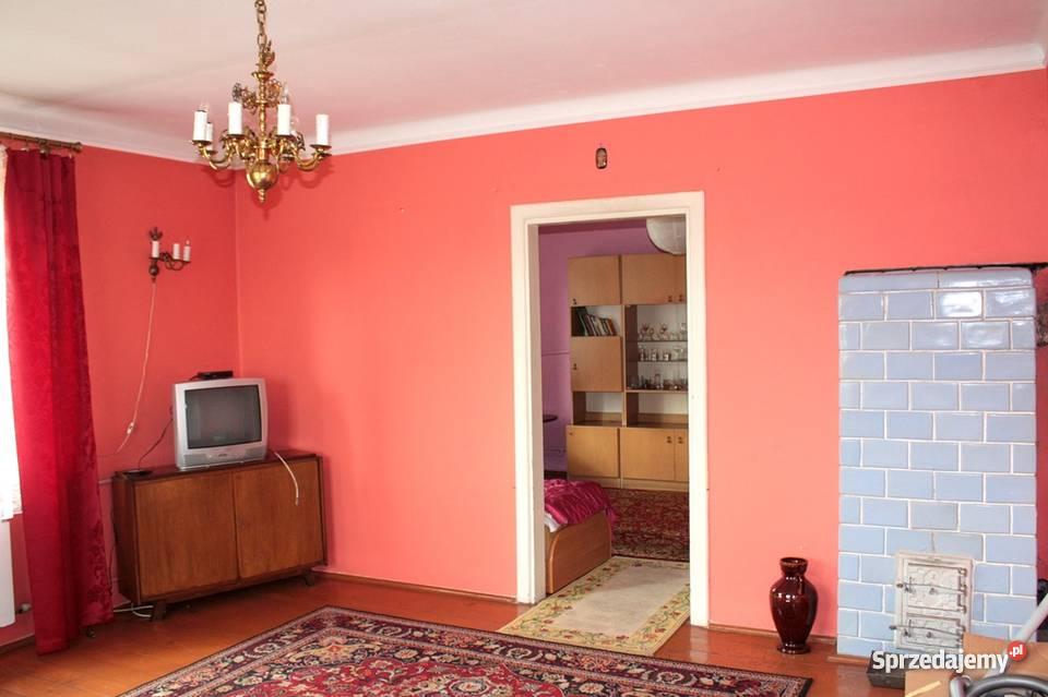 dom Żółwin kPodkowy Leśnej Domy Żółwin