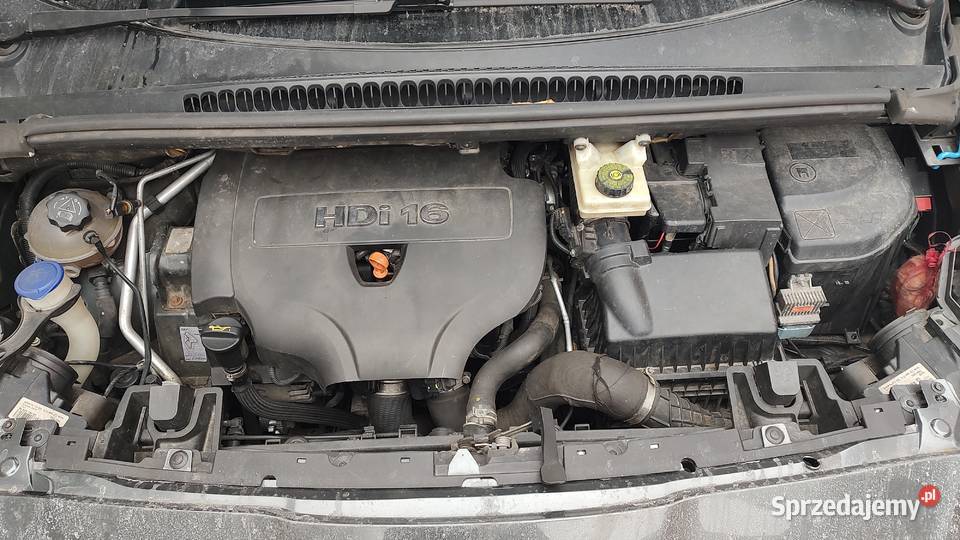 Peugeot 5008 20 HDi 7 osobowy Rok produkcji 2009