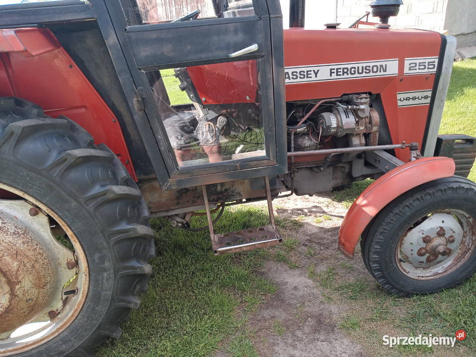 Massey Ferguson Koźminek sprzedam