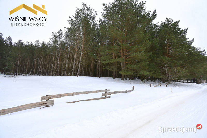 Działka budowlana 3002m2 uzbrojona z lasem Kiersztanowo