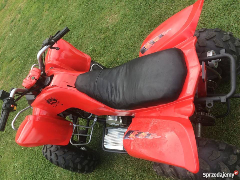 Quad 110 Pilica