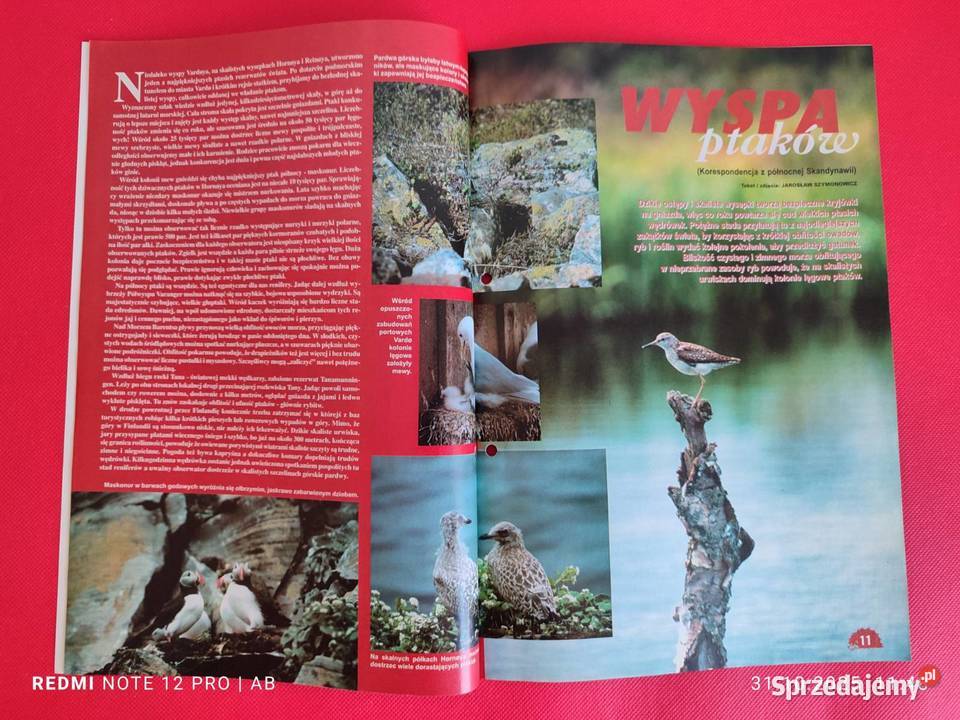 Zielona Liga 1999 3242 miesięcznik przyroda Katowice