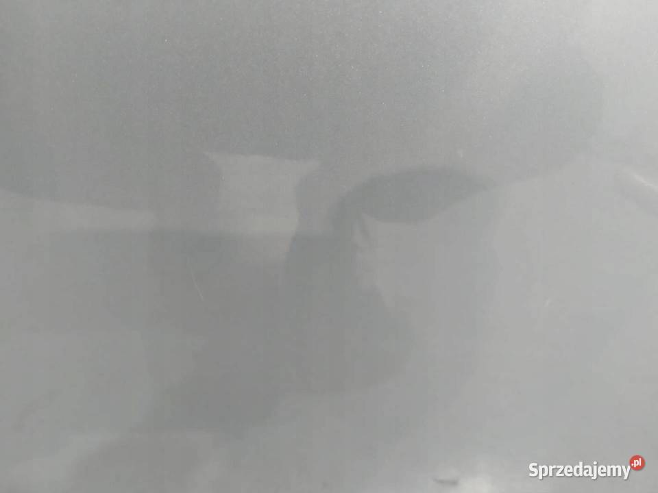 DRZWI PRAWE TYŁ K13 K23 Nissan Micra IV 2010 Drzwi