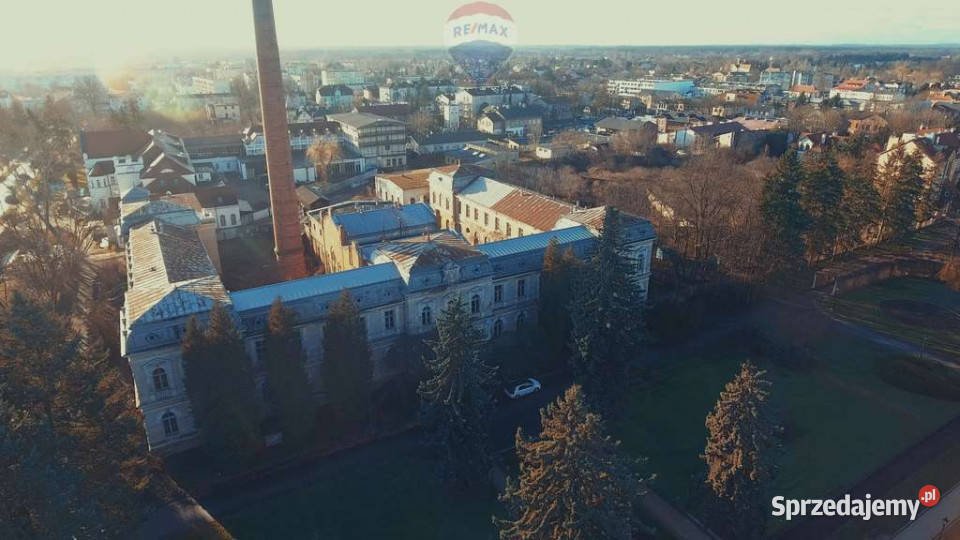 Pałac z przeznaczeniem na hotelsanatorium