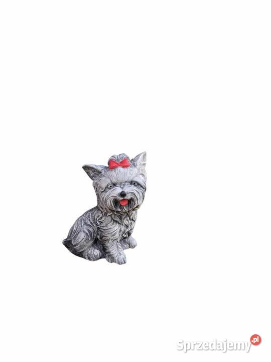figurka yorka piesek gipsowy odlew z gipsu york sprzedam
