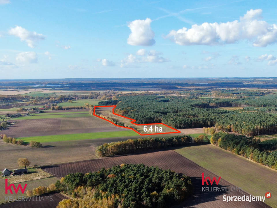 Działka 64170m2 Borzynowo