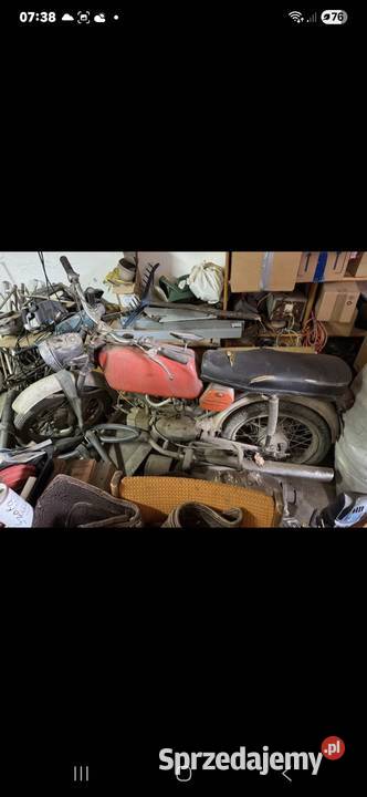 Jawa mustang podlaskie Hryniewicze