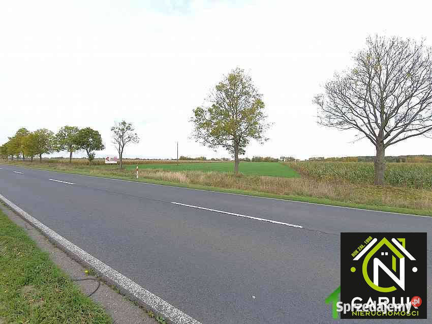 Ziemia do sprzedania 6500 metrów Dziwnówek telefon zachodniopomorskie Kamień Pomorski