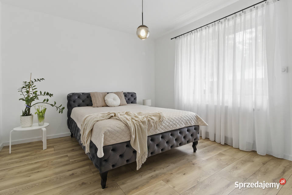 Dom wolnostojący Rezerwat Wikliny Wiślane asfalt Leoncin