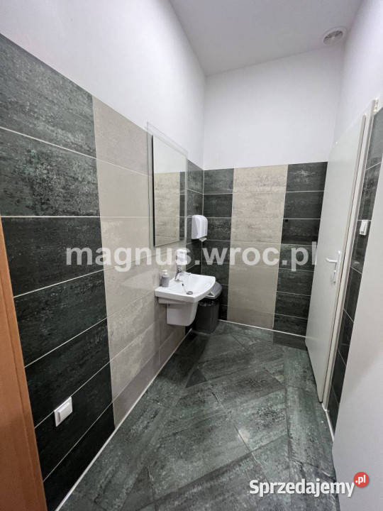 Powierzchnia biurowa w centrum Wrocławia witryna Wrocław