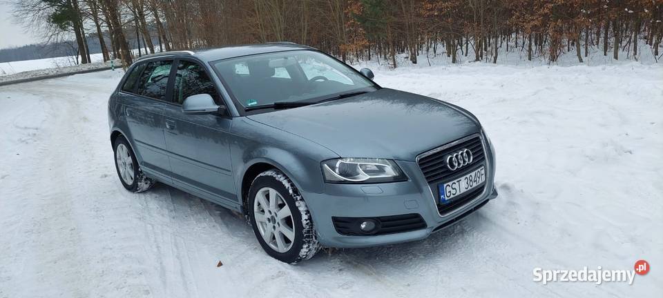 Audi a3 8p 2009r 20 tdi common rail 131 140KM Linowiec