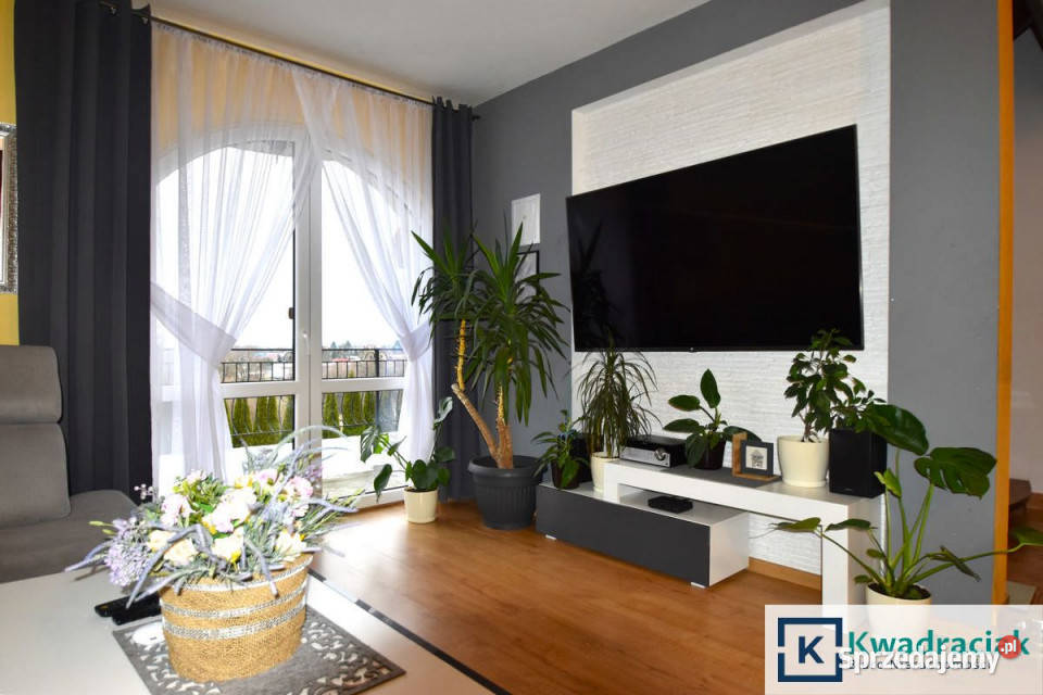 Ogłoszenie dom wolnostojący Zahutyń 13134m2