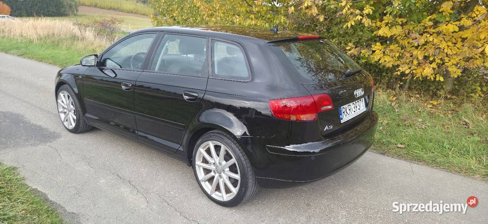 2007 Audi A3 20TDI 170 4x4 Quattro Bixenon diesel Krosno