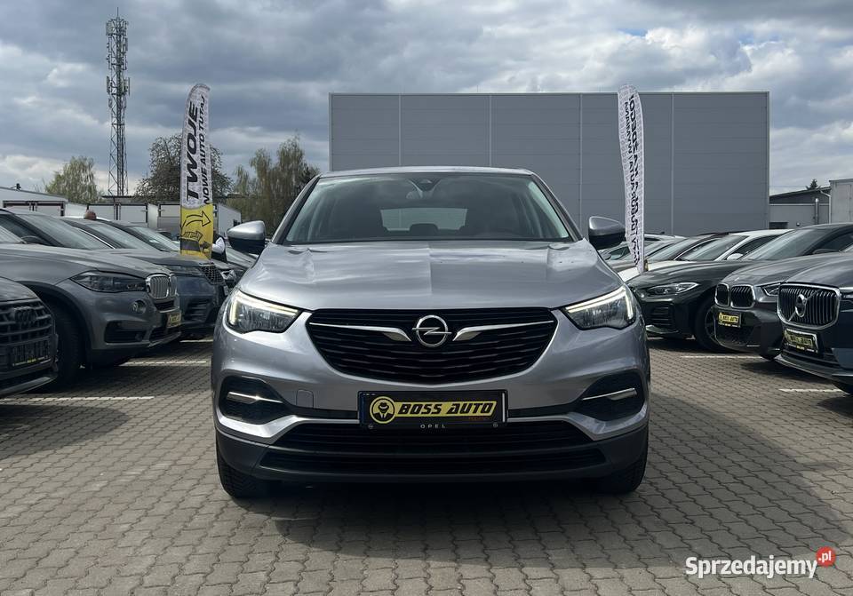 Opel Grandland X 2019 nawigacja Warszawa