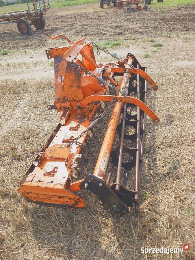 Brona Aktywna Maschio Korfantów