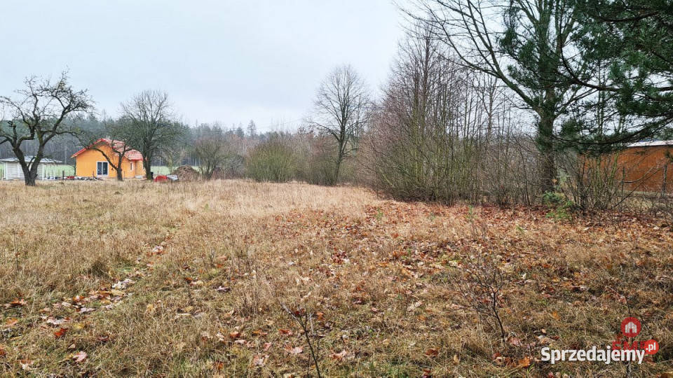Grunt Pieńki 1911m2 budowlana
