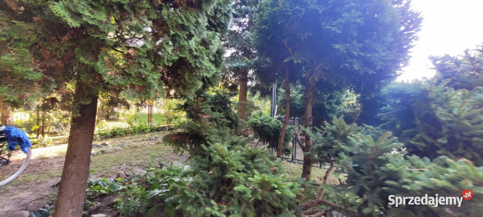 Syndyk sprzeda udział 13 w prawie własności 749m2 sprzedam