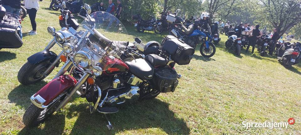 Motocykl Harley Davidson Softail manualna Nowy Dwór sprzedam