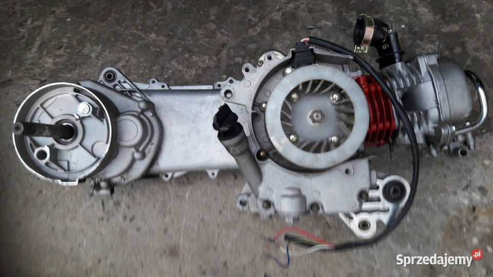 Silnik skuter Poster Sarzyna