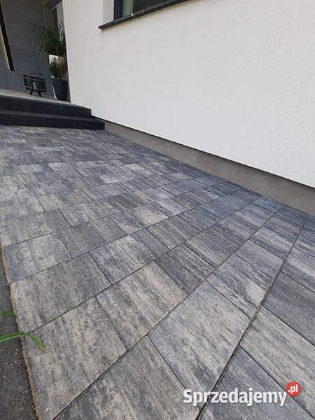 Sparta Gladio Kostka Brukowa Obrzeża Niechcice sprzedam