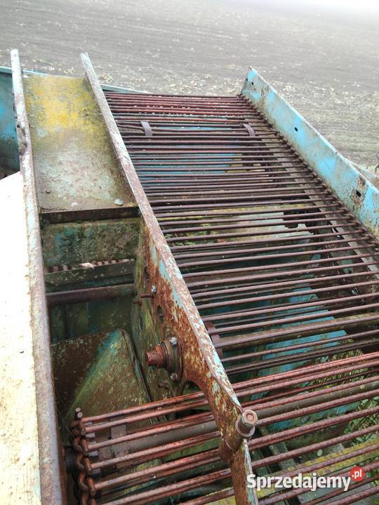 Wyorywacz sadzonek truskawek Anna kopaczka nieuszkodzony