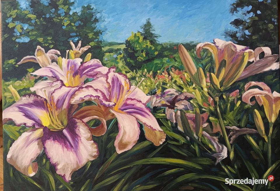 Obraz olejny liliowce kwiaty ogród Wojaszówka