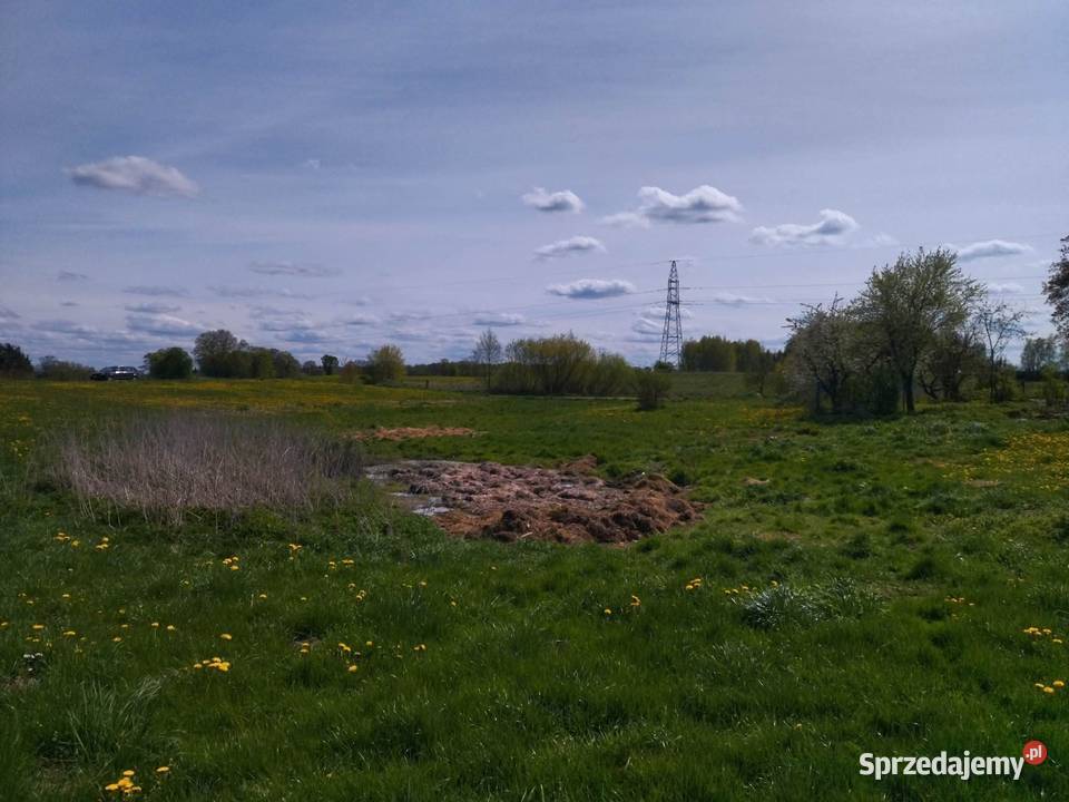 Działka rekreacyjna z możliwością zabudowy Raj