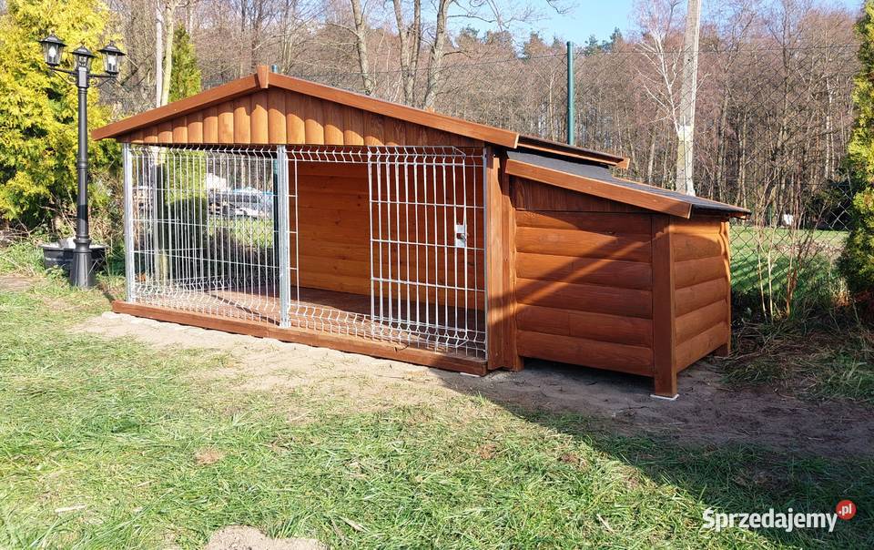 kojec budo kojec budokojec buda boks Skierniewice