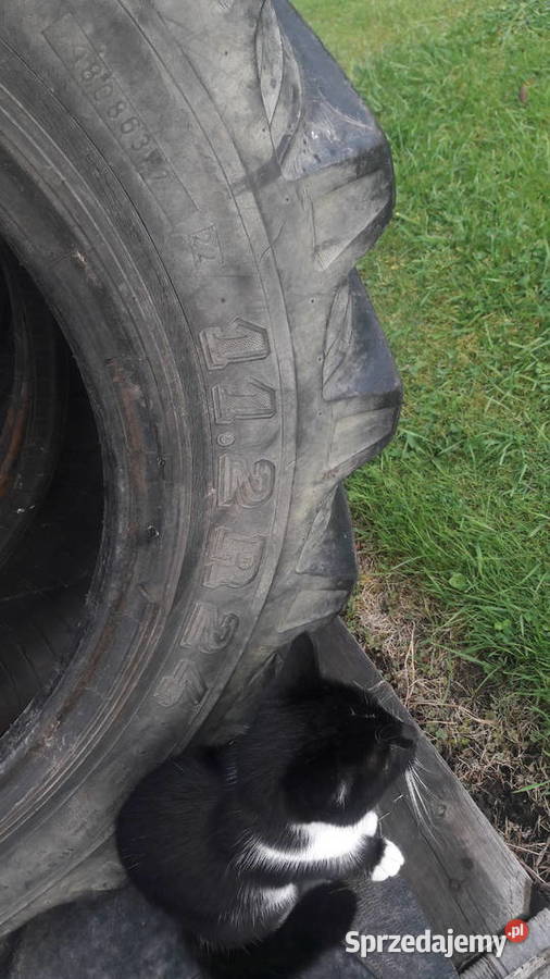 Sprzedam opony 112r24 małopolskie Bochnia