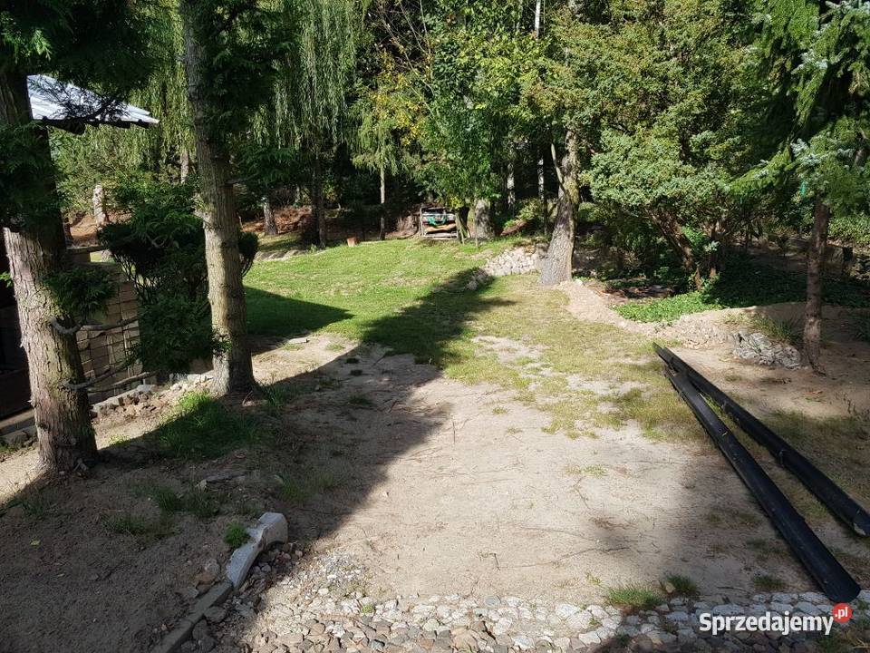 Działka i dom Nieporęcie 1450m2 Nieporęt