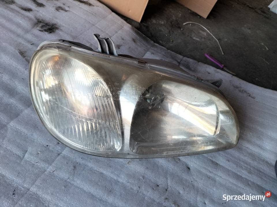 KIA CARNIVAL LAMPA PRZÓD PRAWA PRZEDNIA Kamień-Kolonia