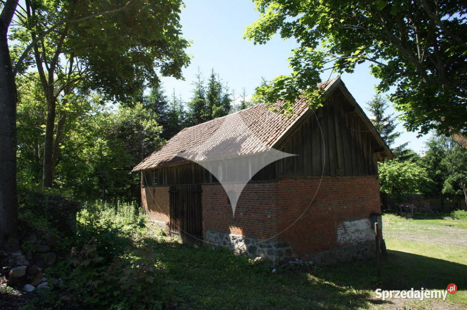 Działka siedliskowa w pełni uzbrojona w Liskach asfalt Liski