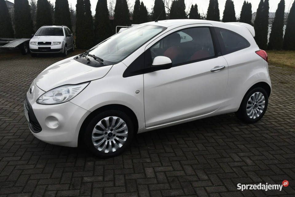Ford KA 12benz DUDKI11 biały łódzkie Kutno