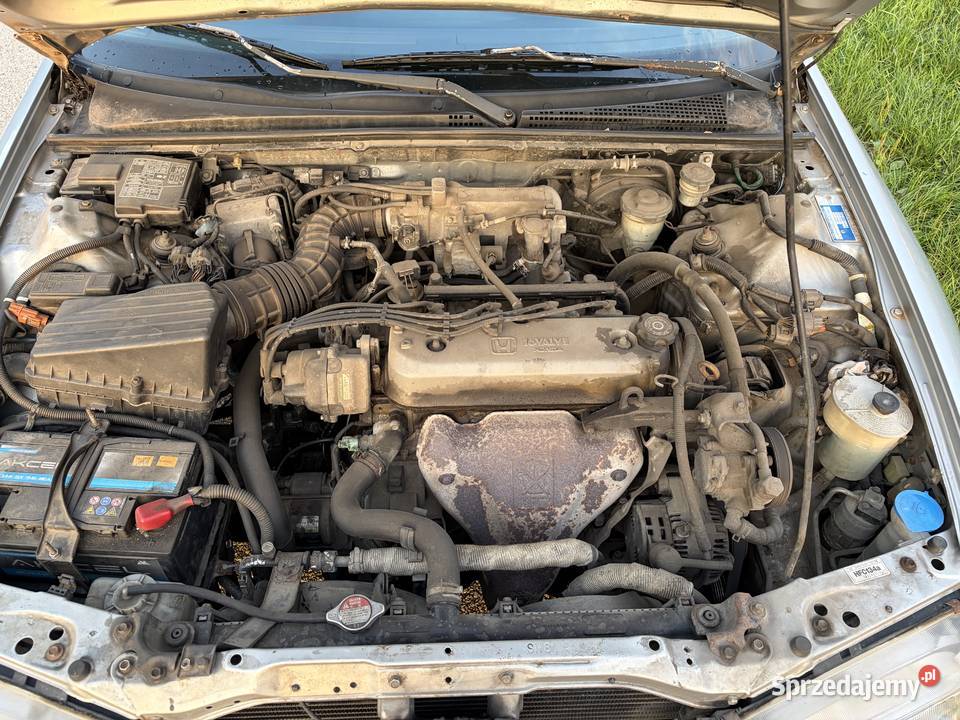 HONDA Accord 18 178 STAN Accord