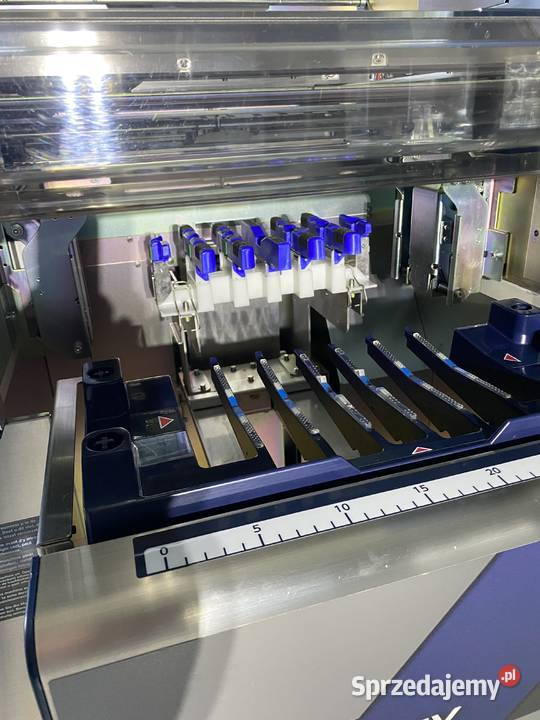 PAKOWACZKA PAKUJĄCA owoce warzywa grzyby DIGI AW mazowieckie Małkinia Górna sprzedam