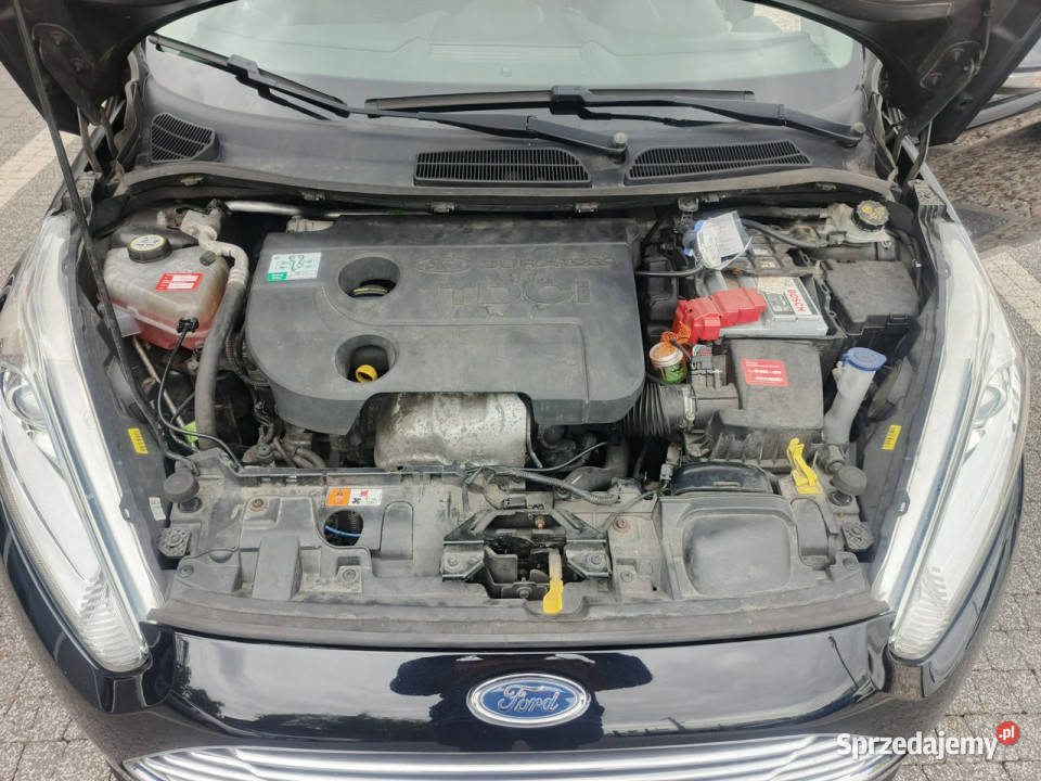 Ford Fiesta Śliczna Lift Dobrze wyposażona Mk7 centralny zamek Chełm