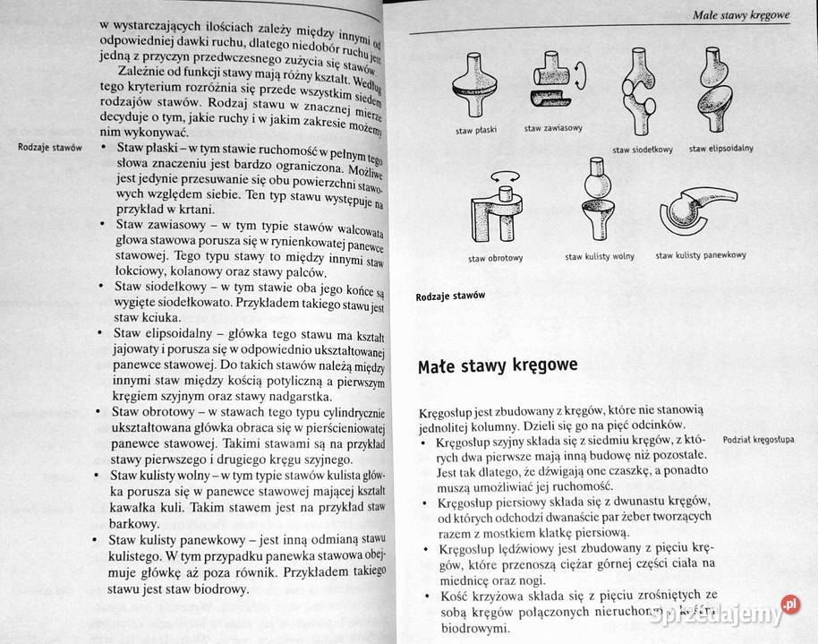 Choroby stawów Gerhard Leibold Chełm