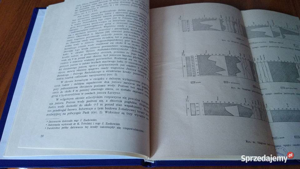 Osady denne Jezior Raduńskich Roman Gołębiewski