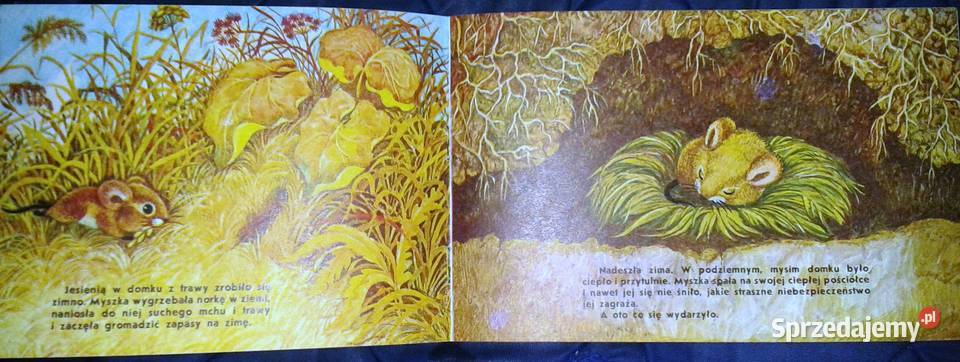 Myszka Pik Bajka filmowa ZSRR wyd 1982 Pozostałe Pozostałe Chełm