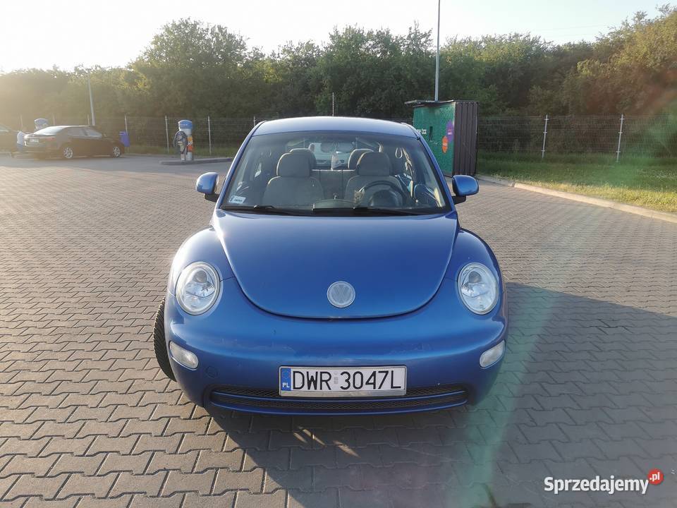 Beetle Wrocław