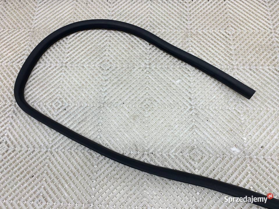 USZCZELKA DRZWI PRZÓD LEWA VW TRANSPORTER T6 Bus osobowe sprzedam