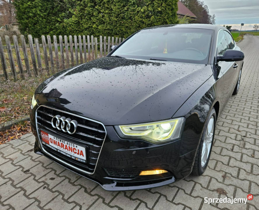 Audi A5 Sportback 1213r 177 Navi Zadbany Rata800